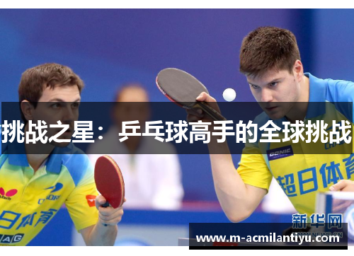 挑战之星：乒乓球高手的全球挑战