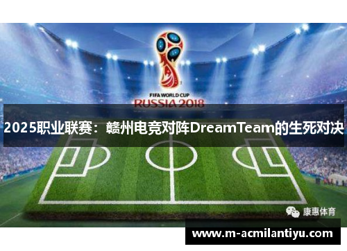 2025职业联赛：赣州电竞对阵DreamTeam的生死对决